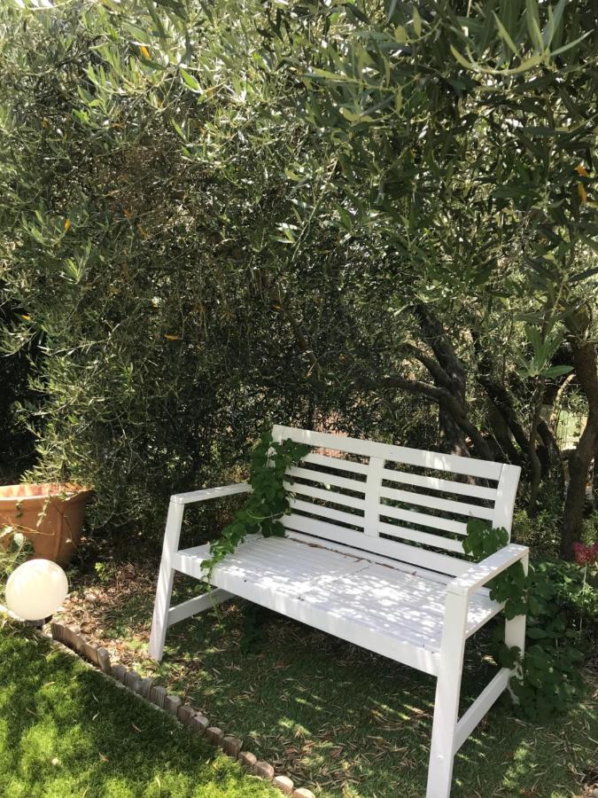 Chambre D Hotes Au Coeur Des Oliviers Marsiglia Esterno foto