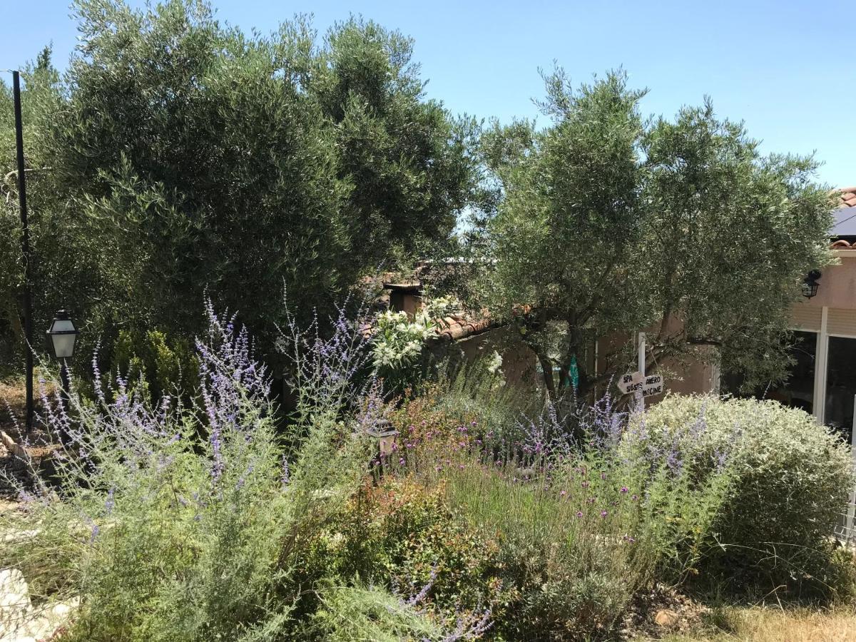 Chambre D Hotes Au Coeur Des Oliviers Marsiglia Esterno foto