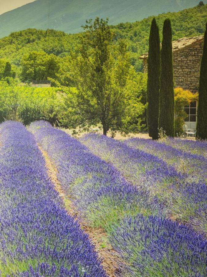 Chambre D Hotes Au Coeur Des Oliviers Marsiglia Esterno foto